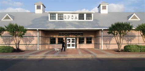 Spca houston - Overview. Linbeck completed a three-phased expansion to update and modernize the SPCA campus in Houston. As part of the 8-acre campus development, Linbeck added five new buildings to make room for a pet adoption center, Wildlife Center of Texas, dog park, horse arena/barn, bird building, dedication park, education facility for children and ...